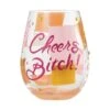 Enesco Gift Stemless Cheers Bitch(Stemless Cheers Bitch) -Holiday Gift Shop 6007479