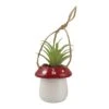 Enesco Gift Mushroom Hangng Planter Plant(Mushroom Hangng Planter Plant) 1 Enesco Gift Mushroom Hangng Planter Plant(Mushroom Hangng Planter Plant) -Holiday Gift Shop 6013229