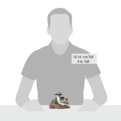 Enesco Gift Downy Woodpecker Figurine(Downy Woodpecker Figurine) 11 Enesco Gift Downy Woodpecker Figurine(Downy Woodpecker Figurine) -Holiday Gift Shop 6014416 20