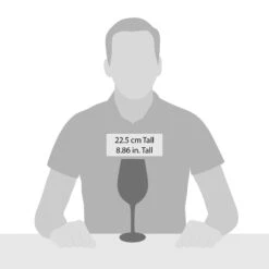 Enesco Gift Birthday Queen Wine Glass(Birthday Queen Wine Glass) -Holiday Gift Shop 6016400 20