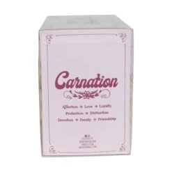 Enesco Gift Carnation Handpainted Mug(Carnation Handpainted Mug) -Holiday Gift Shop 6016759 5